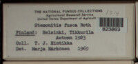 Image Associated With the Occurence